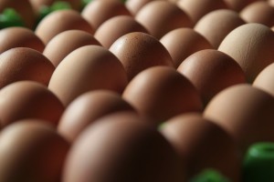 Foto: frische sortierte Eier