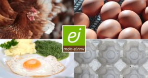 Foto-Montage: gegen Lebensmittelverluste beim Ei