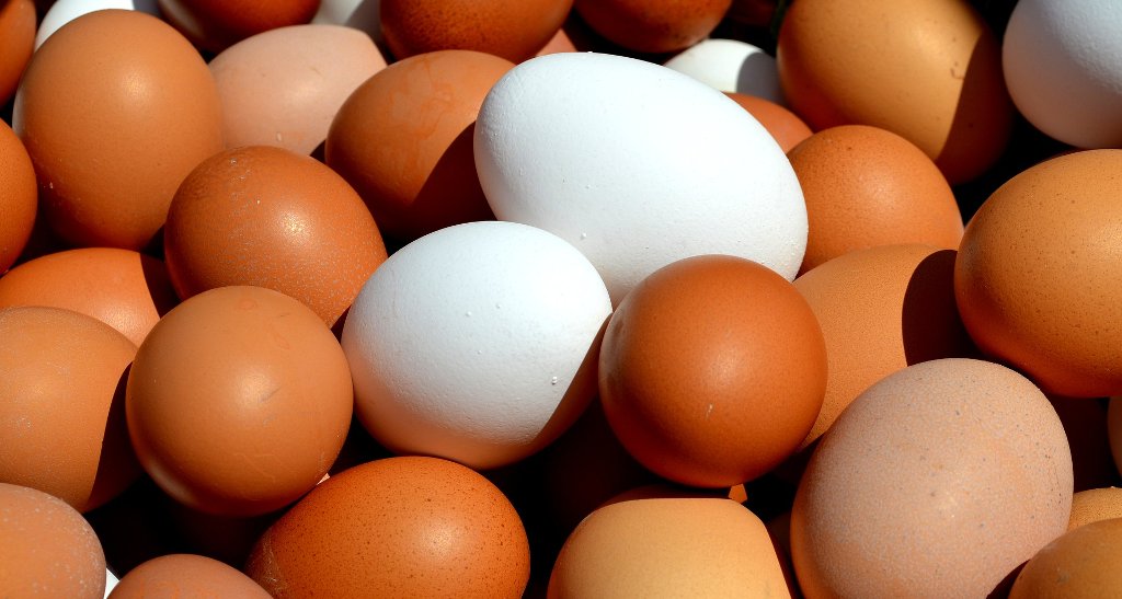 Foto: weiße und braune Eier