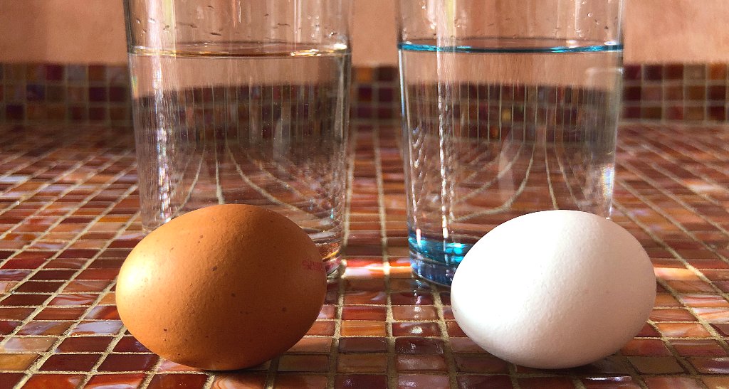 Foto: Eier im Frischetest