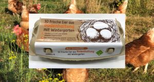 Foto: Eier aus Bodenhaltung mit Wintergarten