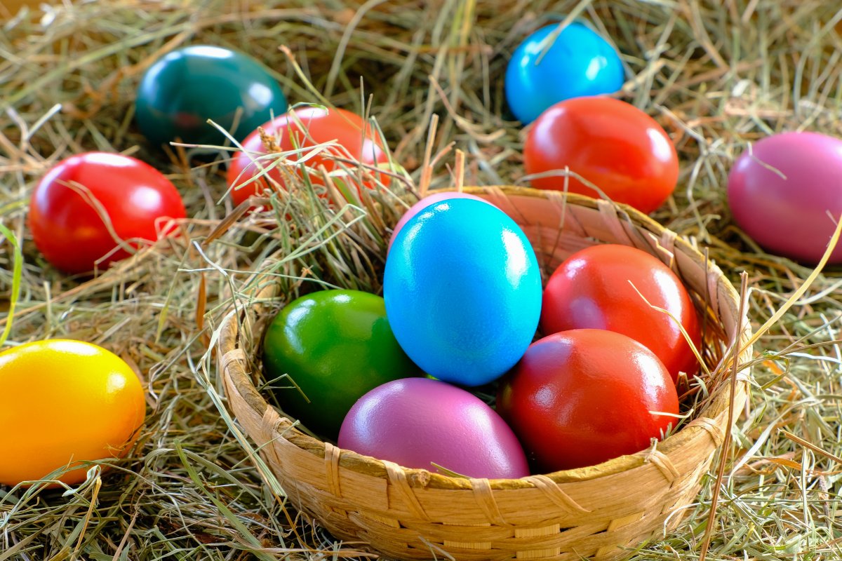 Foto: gefärbte Eier (© NickyPe – pixabay.com)