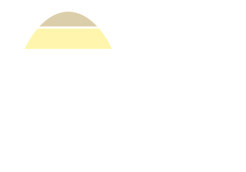Grafik: Bestandteile des Hühnereies