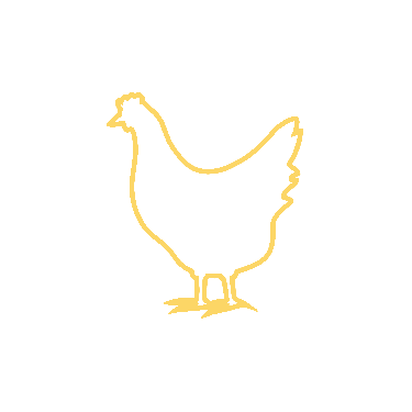 Grafik: Huhn